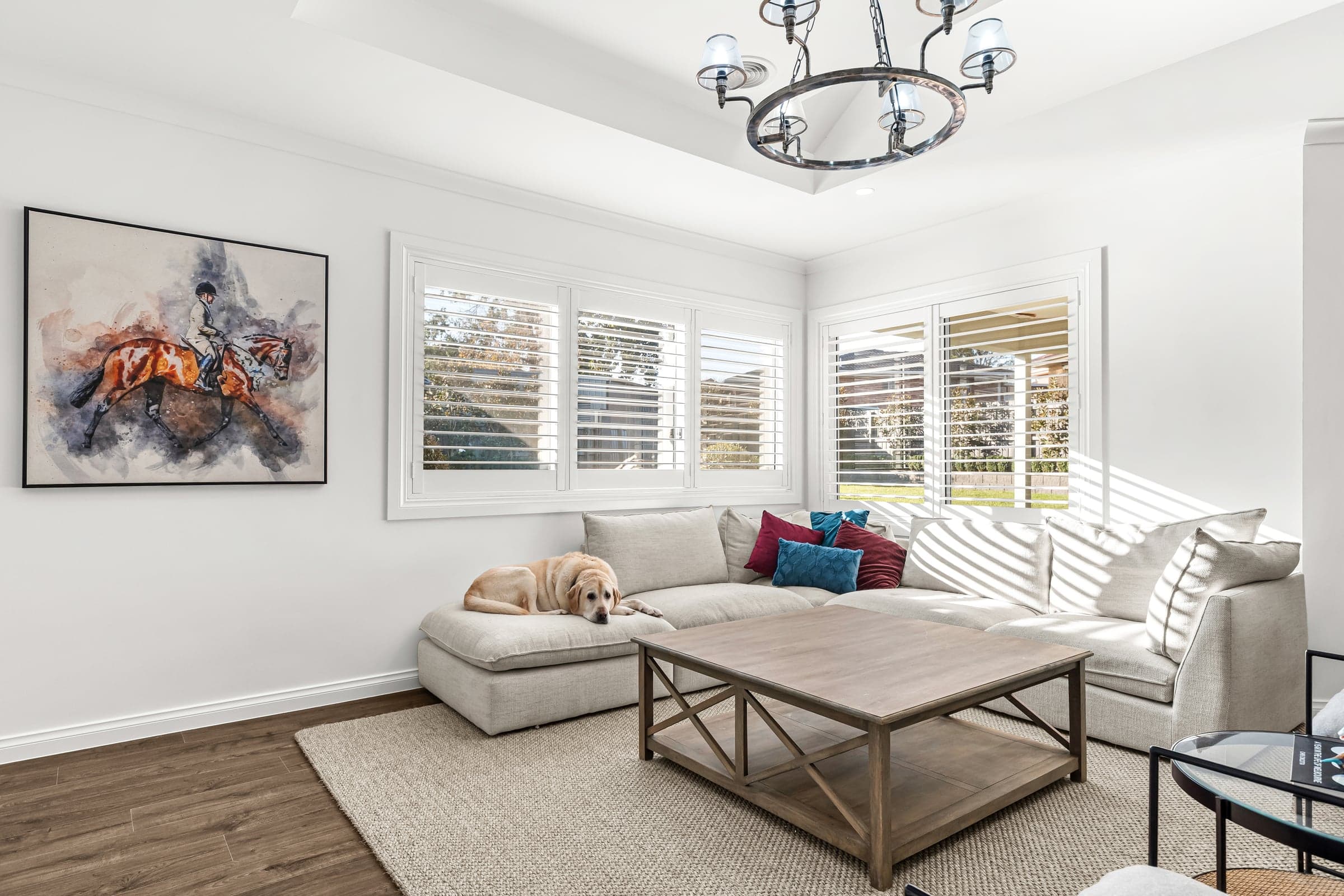 Dog asleep on the sofa in a styled living room