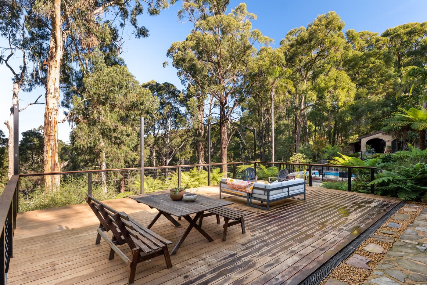 Timber deck among the gum trees