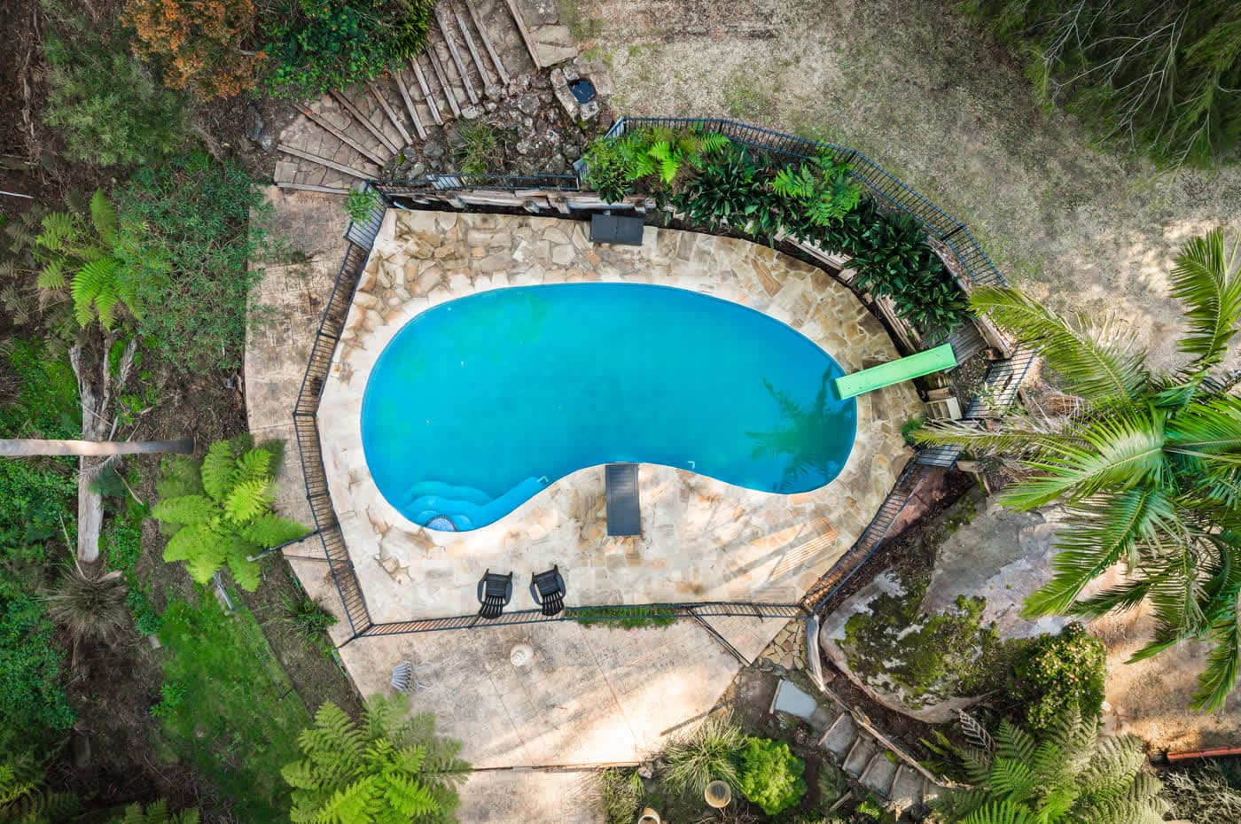 Aerial of a kidney-shaped pool surrounded by tree ferns