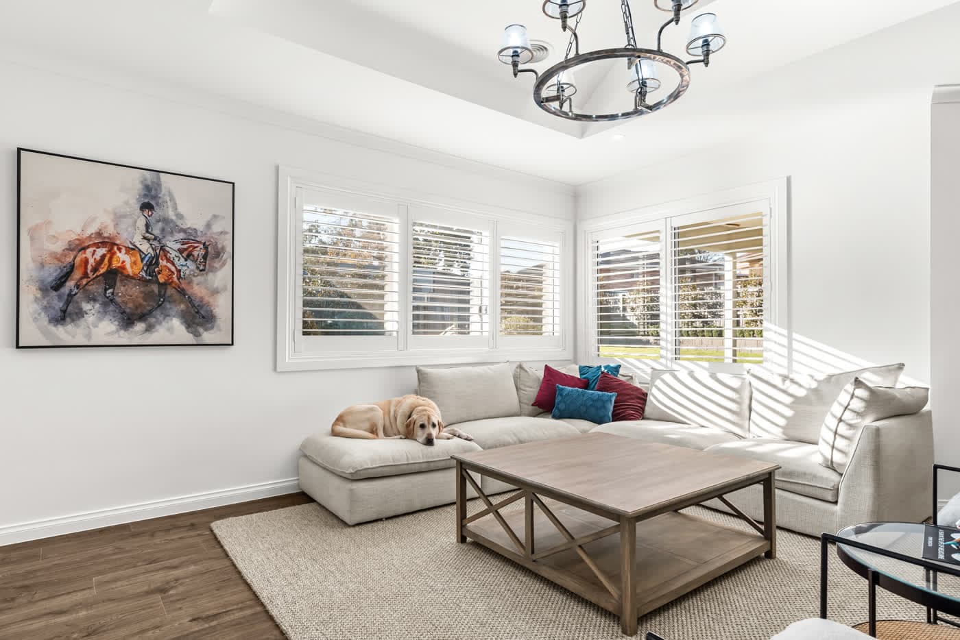 Dog asleep on the sofa in a styled living room